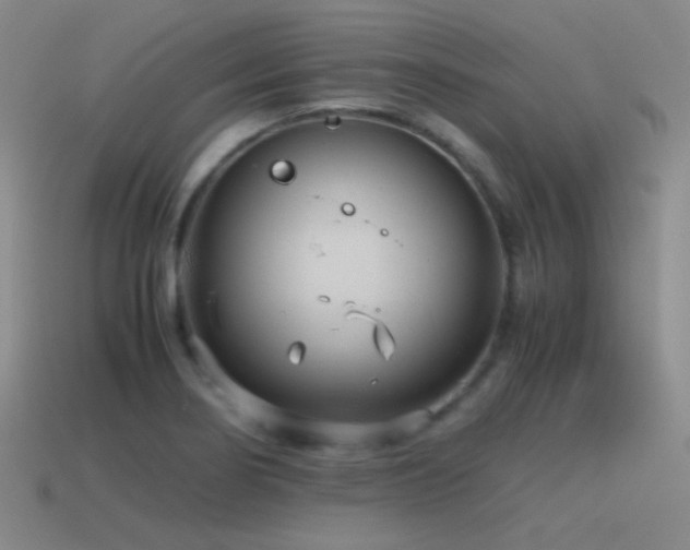 X0000115481274200911061210