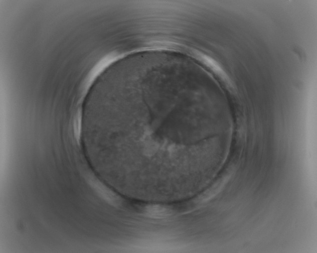 X0000115481275200911061210