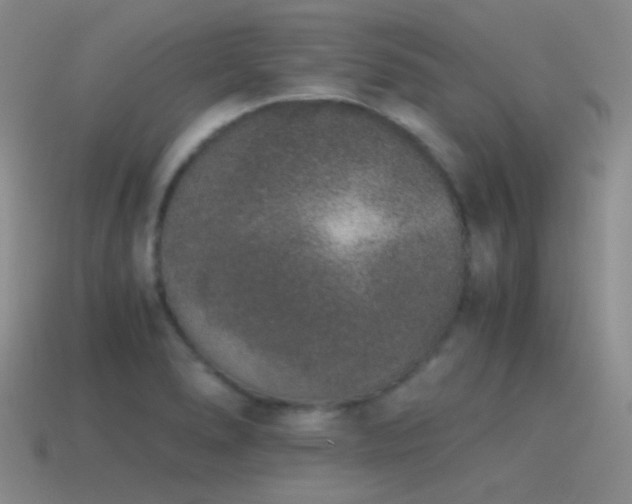 X0000115481278200911061210