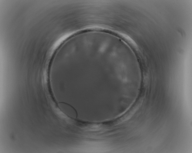 X0000115481279200911061210