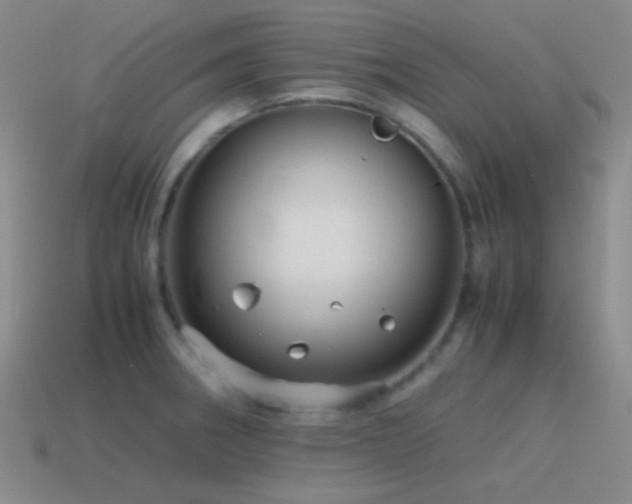 X0000115481282200911061210
