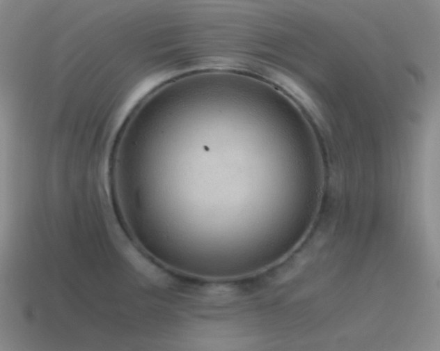 X0000115481283200911061210