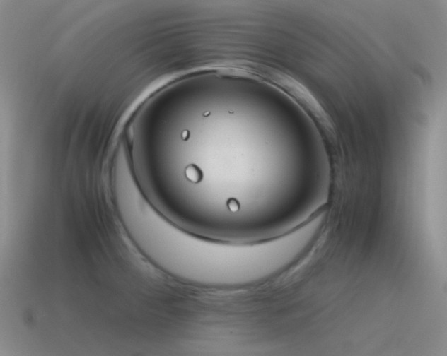 X0000115481284200911061210
