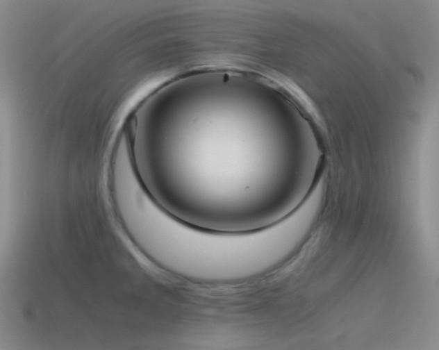 X0000115481285200911061210
