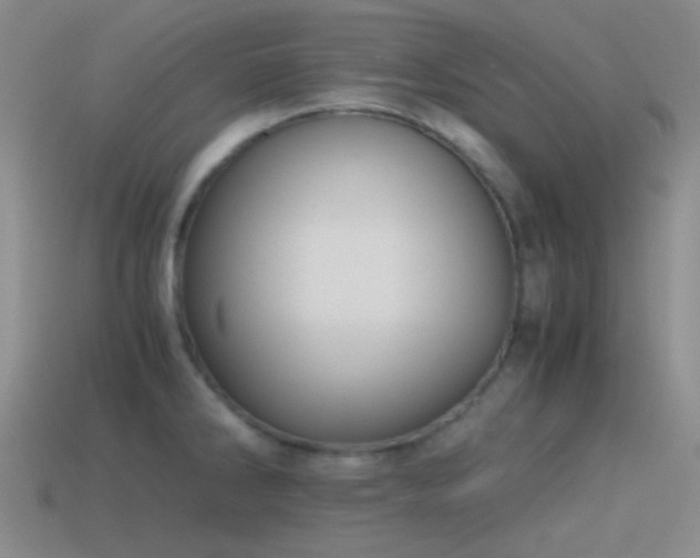X0000115481286200911061210