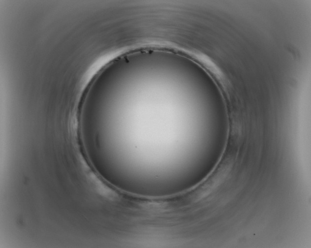 X0000115481287200911061210