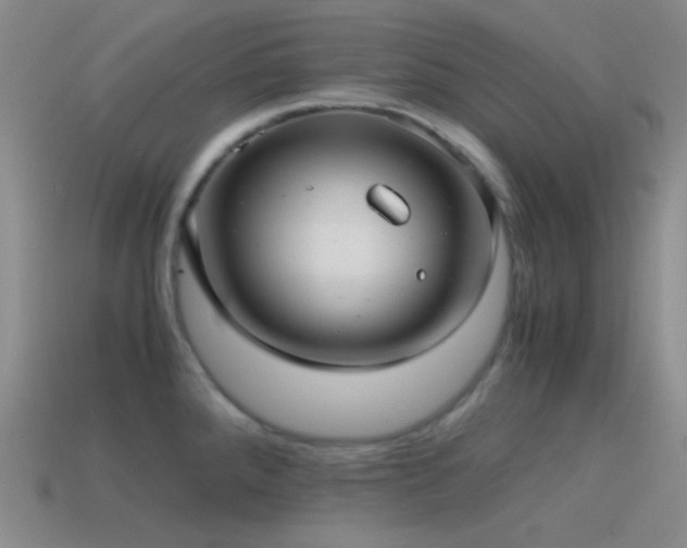 X0000115481288200911061210