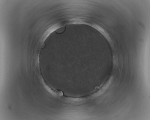 X0000115481289200911061210