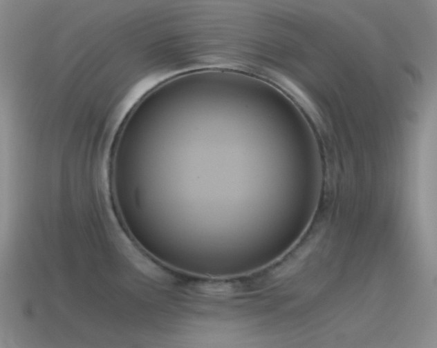 X0000115481291200911061210
