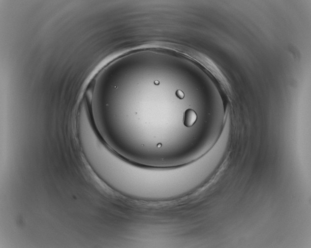 X0000115481292200911061210