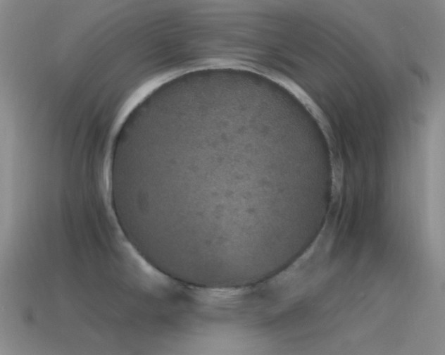 X0000115481294200911061210
