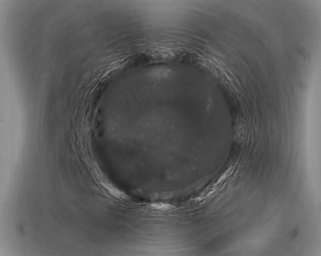 X0000115481297200911061209