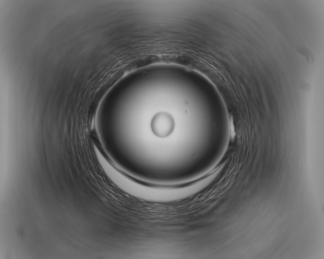 X0000115481298200911061209