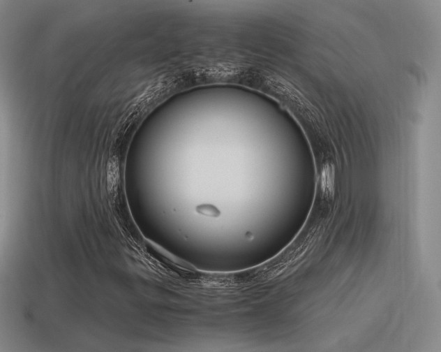 X0000115481299200911061209
