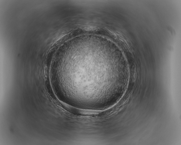 X0000115481301200911061209