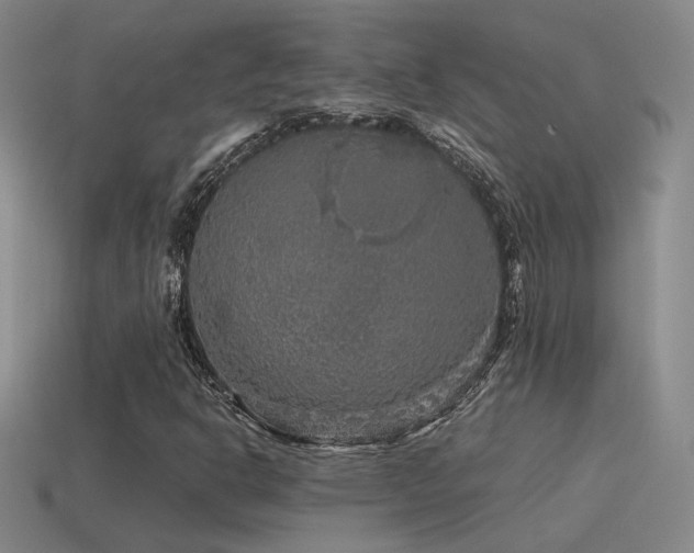 X0000115481302200911061209