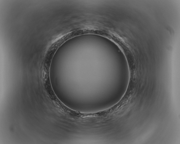 X0000115481303200911061209