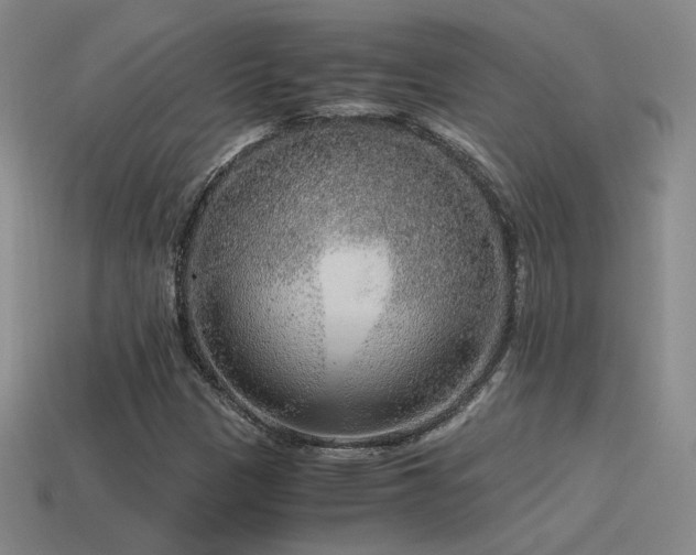 X0000115481305200911061209