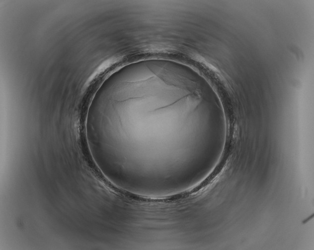 X0000115481306200911061209