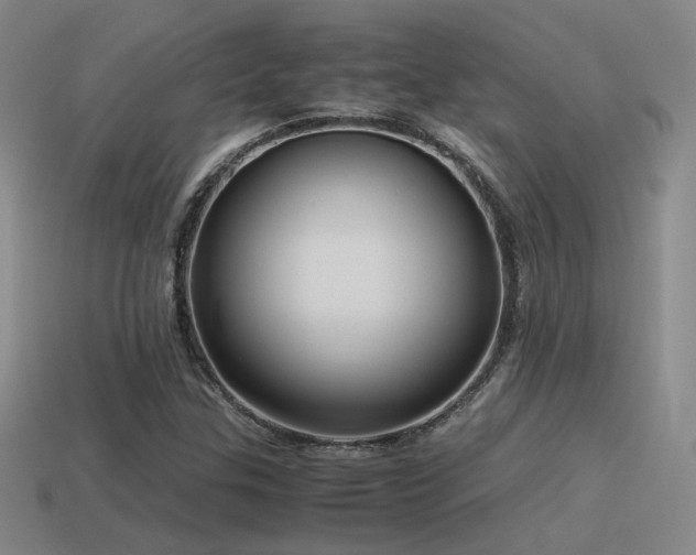 X0000115481307200911061209
