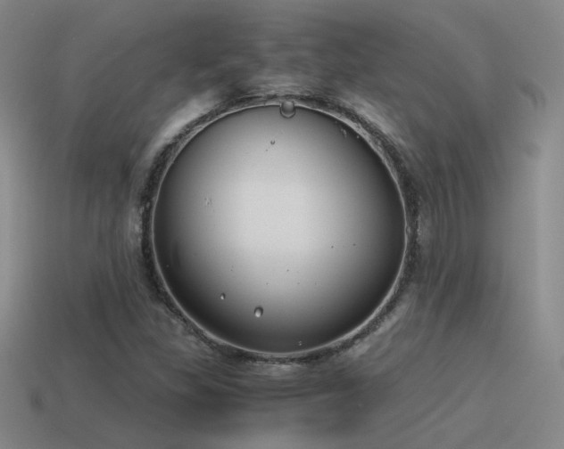X0000115481309200911061209