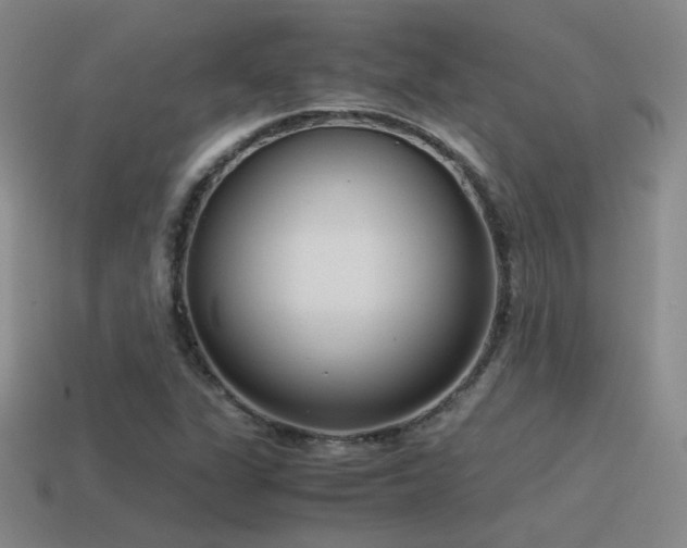 X0000115481311200911061209