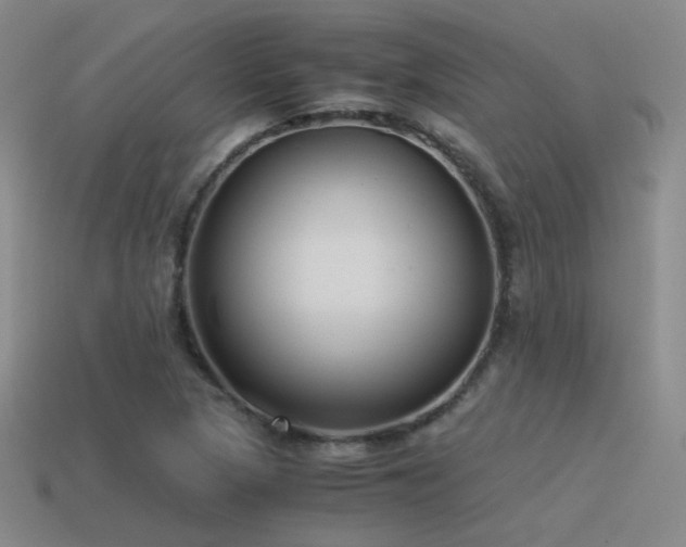 X0000115481313200911061209