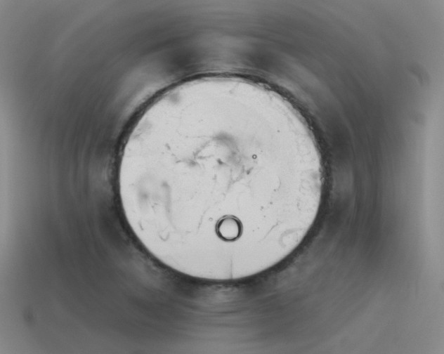 X0000115481314200911061209