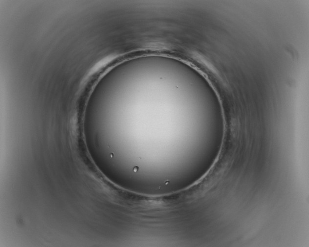 X0000115481315200911061209