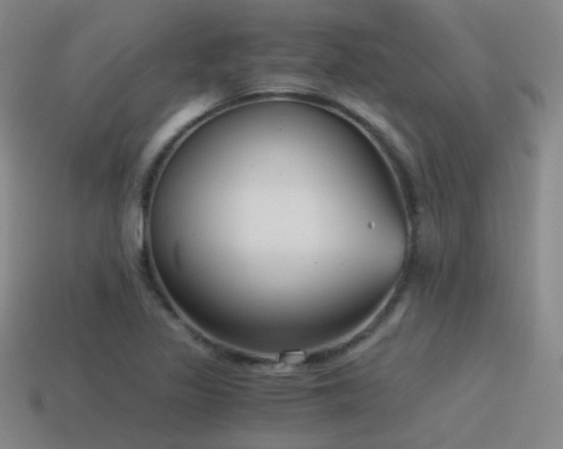 X0000115481317200911061209
