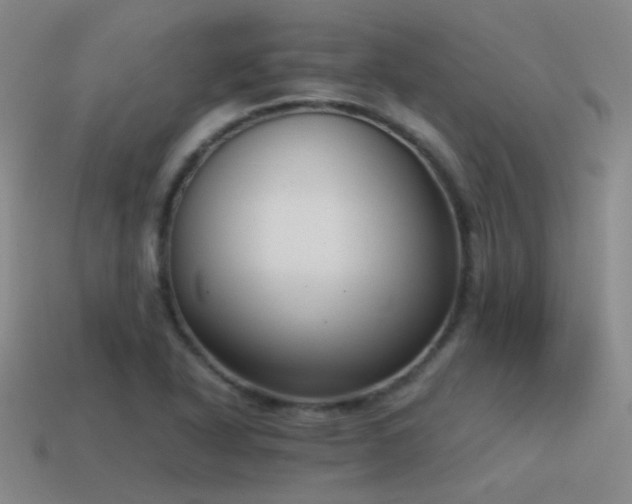 X0000115481318200911061209