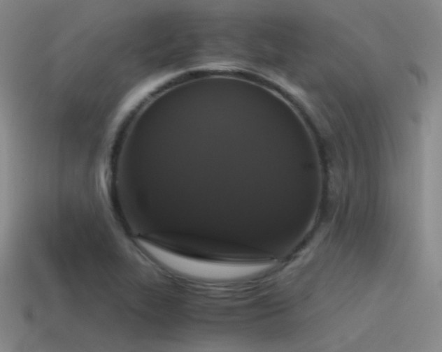X0000115481319200911061209