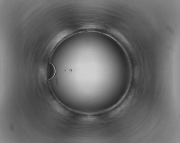 X0000115481321200911061209