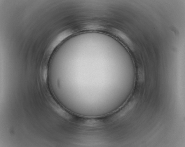 X0000115481322200911061209