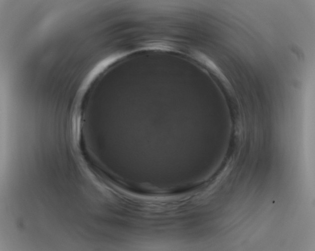X0000115481323200911061209
