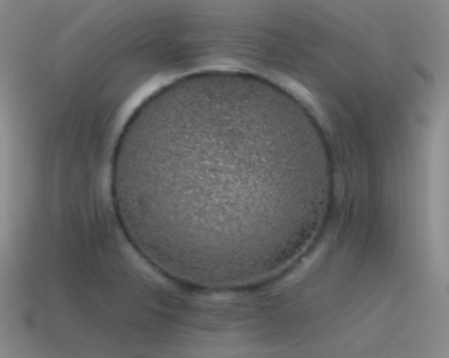 X0000115481326200911061210