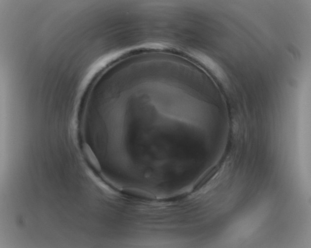 X0000115481327200911061210