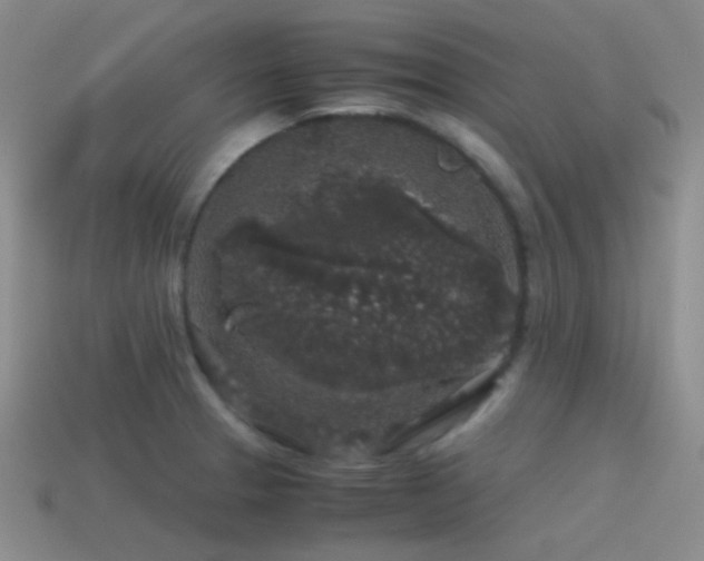 X0000115481329200911061210