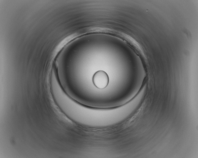 X0000115481330200911061210