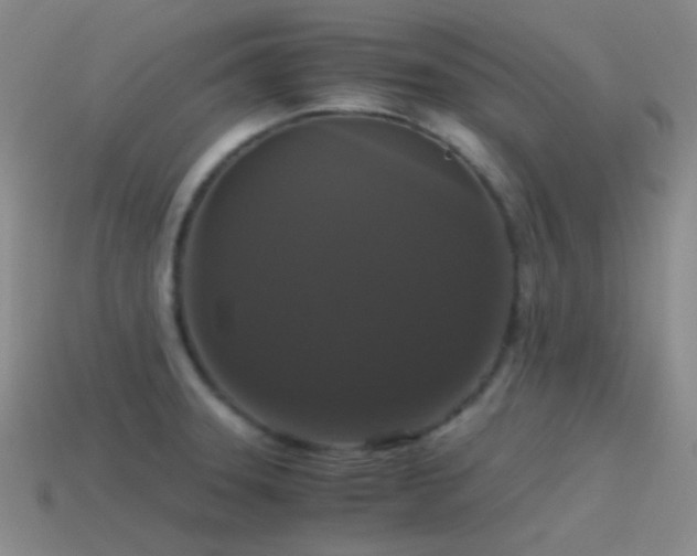 X0000115481331200911061210
