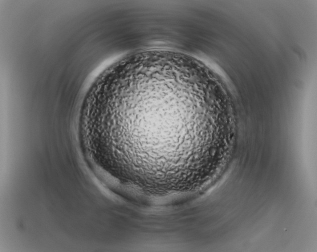 X0000115481333200911061210