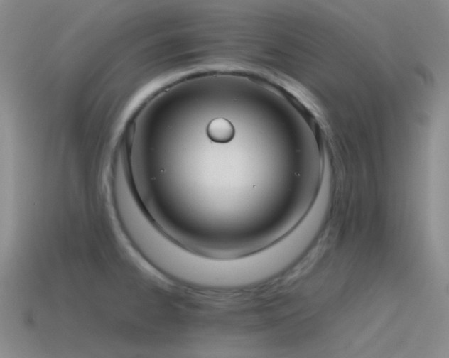 X0000115481334200911061210