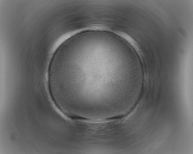 X0000115481335200911061210