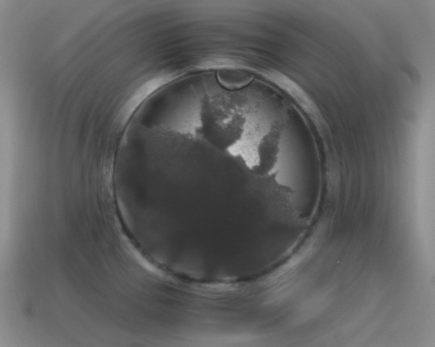 X0000115481337200911061210