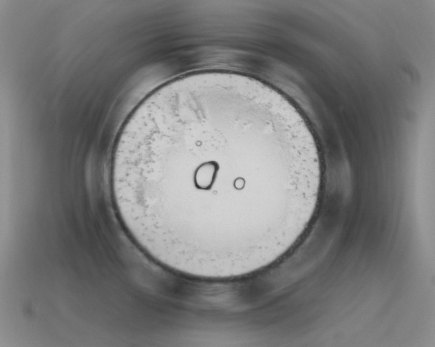 X0000115481338200911061210