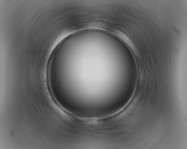 X0000115481339200911061210
