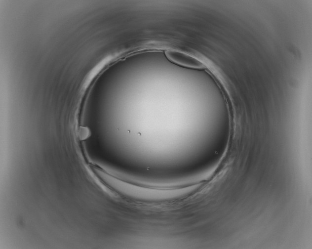 X0000115481341200911061210