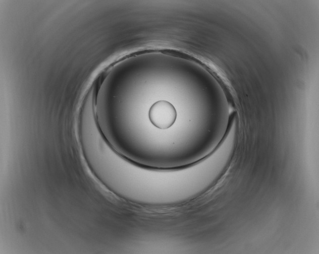 X0000115481342200911061210