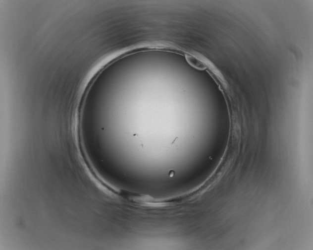 X0000115481343200911061210