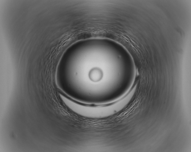 X0000115481345200911061209